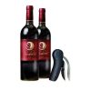 TJ_LIFESTYLE WN003 Classic Wine Opener
