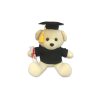 TJ_LIFESTYLE 389 Graduation Bear